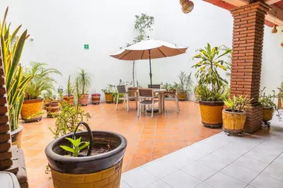 Jardín al aire libre en Hotel Magda