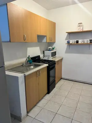 Una cocina o zona de cocina en Departamento Economico Arroyo