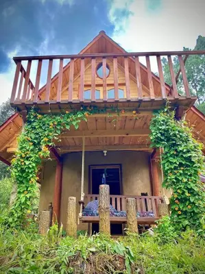 Jardín al aire libre en Cabaña en el bosque y cerca al río Starlink