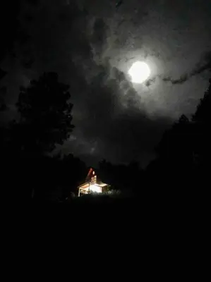 Plano de Cabaña en el bosque y cerca al río Starlink