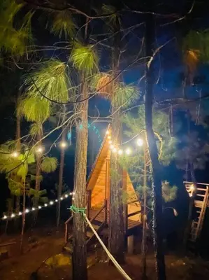 Plano de Cabaña privada en el bosque, cerca al rio Starlinkk