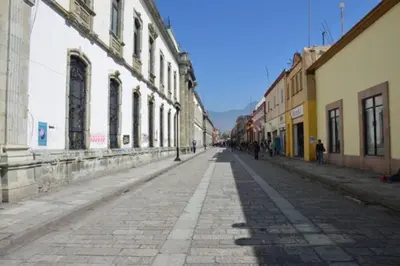 El barrio de los alrededores o un barrio cerca de este apartamento