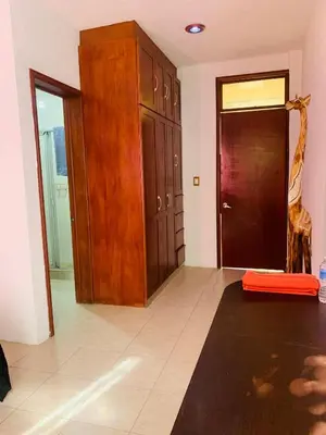 Plano de Geranios