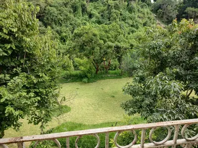 Jardín al aire libre en Casa Tlaco