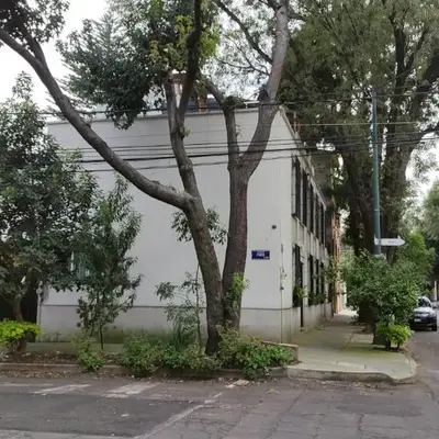 Súperanfitrión Coyoacán El Alebrije