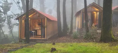Jardín al aire libre en Cabañas Vive el Bosque