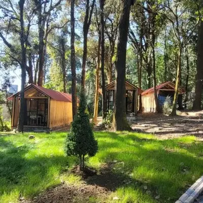 Cabañas Vive el Bosque