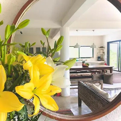 Casa cactus