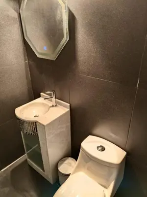 Un baño de Vista a la isla
