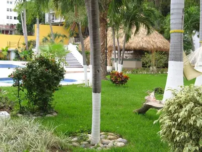 Jardín al aire libre en tres recámaras