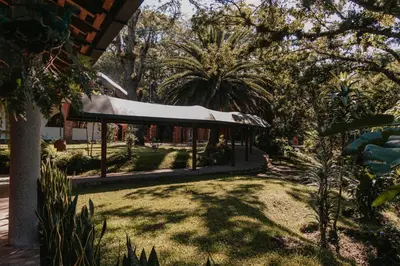 Jardín al aire libre en Hotel Boutique Finca La Niebla