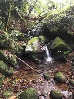 Paisaje cerca de este chalet de montaña