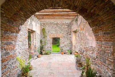 Jardín al aire libre en Mágica Suit en Centro Histórico
