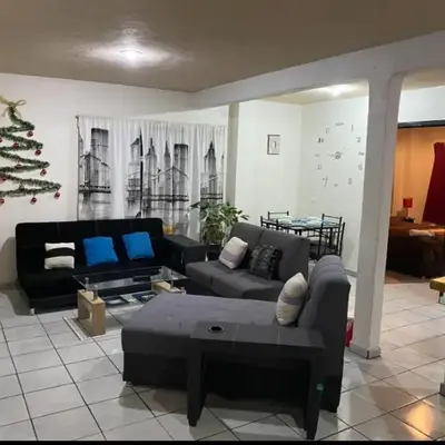 Departamento con terraza lobo