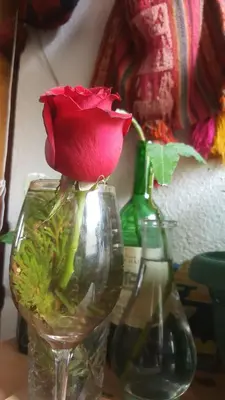 Bebidas en Quetzalli