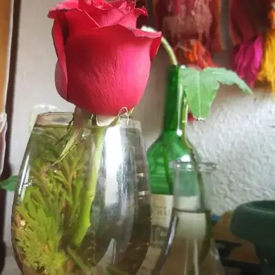 Quetzalli