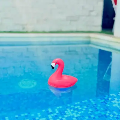 Piscina en o cerca de Casa de Playa en Antón Lizardo con alberca privada y club Playa