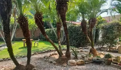 Jardín al aire libre en Lago24 Habitaciones