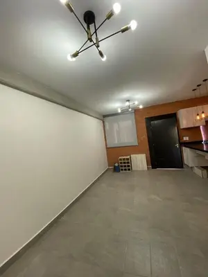 Plano de Departamento Casa Romita