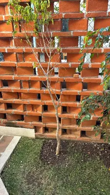 Jardín al aire libre en Casa nueva en Lomas de Cocoyoc, alberca climatizada, PET friendly