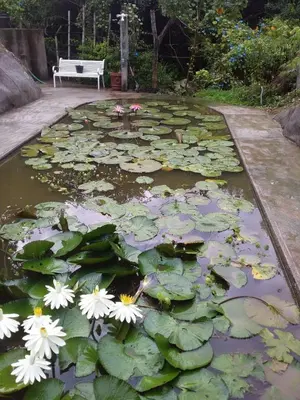 Jardín al aire libre en Casa de descanso A 15 minutos del lago de Tequesquitengo