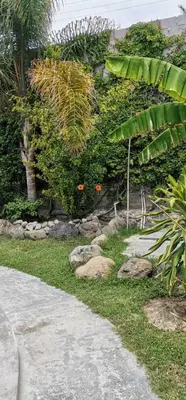 Jardín al aire libre en Hotel Pink TH