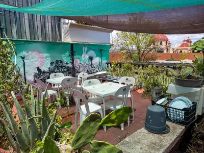 Jardín al aire libre en Hostal Luz de Luna Nuyoo