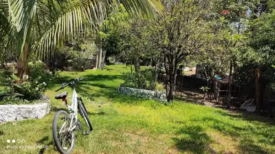 Jardín al aire libre en Quinta Santa Martha I