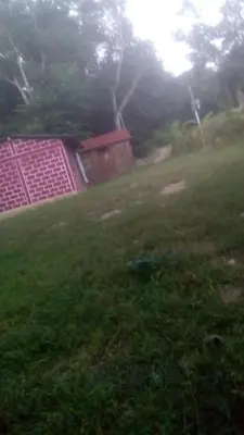 Jardín al aire libre en Cabaña la ira