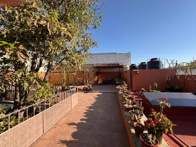 Plano de La Casa del Arbol