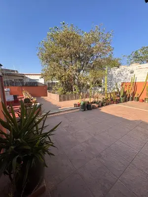 Jardín al aire libre en La Casa del Arbol