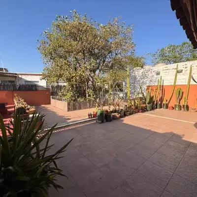La Casa del Arbol