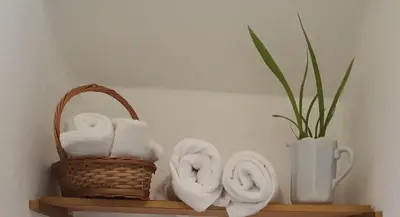 Plano de LOFt