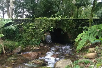 Paisaje cerca de este apartamento