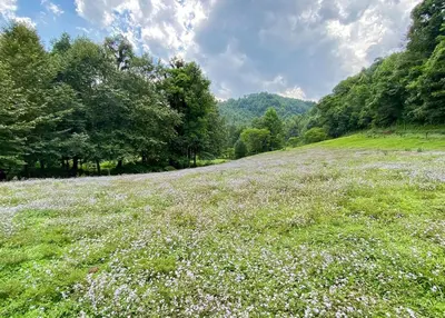 Paisaje cerca de este apartamento