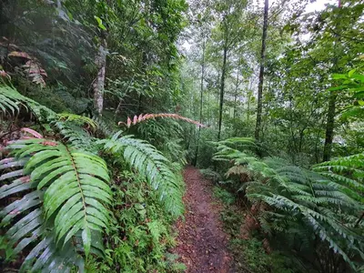 Paisaje cerca de este apartamento