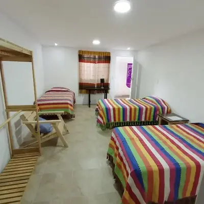 Iguana Coliving