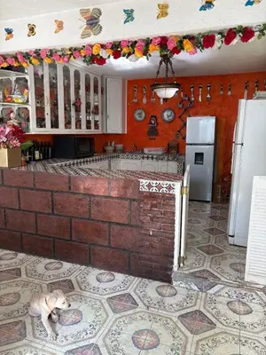 Una cocina o zona de cocina en Casa Vacacional Oaxtepec Morelos