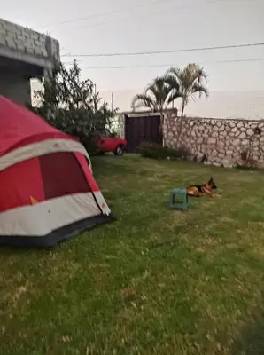 Plano de Nada y acampa con tus perritos