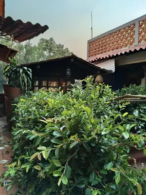 Jardín al aire libre en Hostal Refugio