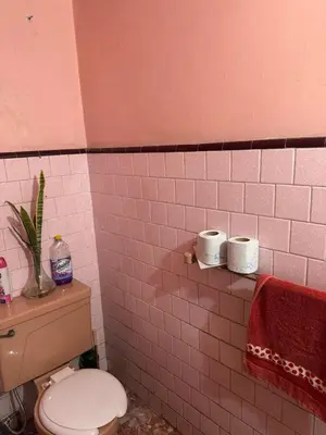 Un baño de Planta Baja Acuario Veracruz reserva unicamente WHATS 228ll5476O - NO RESERVAR AQUI SE CANCELA