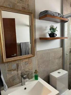 Un baño de Hermoso Dpto Centro de Coyoacán