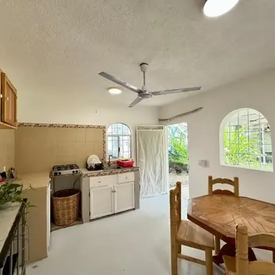 Casa Tropical Starlink
