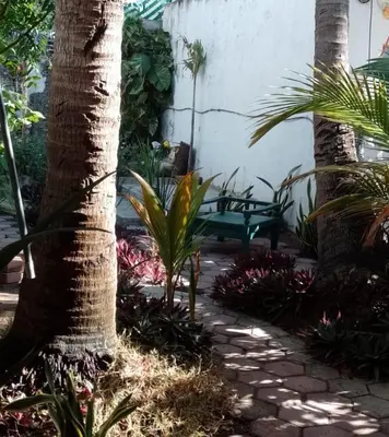 Jardín al aire libre en Cozy little beach house