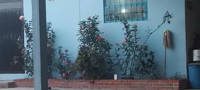 Jardín al aire libre en Campestre San Román