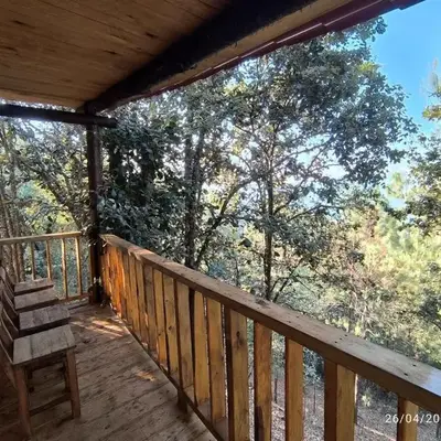Cabañas en el Bosque de San José del Pacífico 5