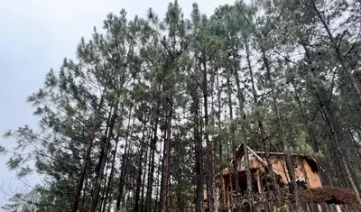 Paisaje cerca de este chalet de montaña