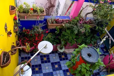 Plano de Sustainable Home - Casa Vecindad Murals