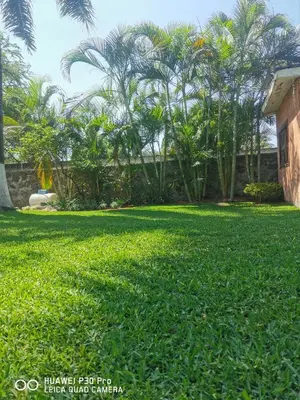 Jardín al aire libre en Casa Amor'e