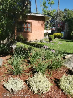 Jardín al aire libre en Casa Amor'e